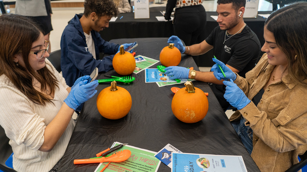 Students Carving pumpkings on a table